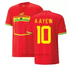 Koszulka Ghana Andre Ayew 10 MŚ 2022 Wyjazdowa Koszulka Ghana Andre Ayew 10 MŚ 2022 Wyjazdowa