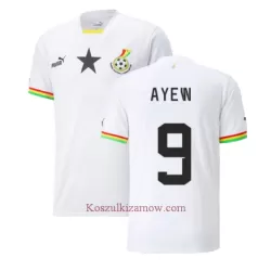 Koszulka Ghana Ayew 9 Jordan MŚ 2022 Domowa Koszulka Ghana Ayew 9 Jordan MŚ 2022 Domowa