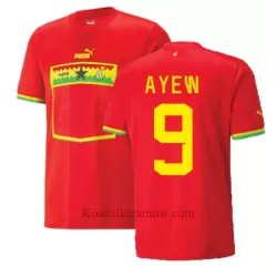 Koszulka Ghana Ayew 9 Jordan MŚ 2022 Wyjazdowa Koszulka Ghana Ayew 9 Jordan MŚ 2022 Wyjazdowa
