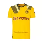 Koszulka Borussia Dortmund 2022-23 Trzecia