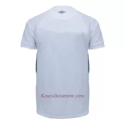 Koszulka Grêmio FBPA 23/24 Wyjazdowa