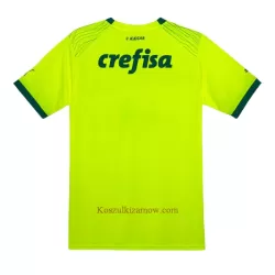 Koszulka Palmeiras 23/24 Trzecia
