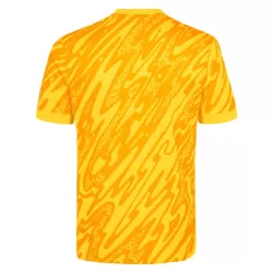 Koszulka Bramkarska Tottenham Hotspur 24/25 Żółty