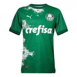 Koszulka Palmeiras 2024 Zielony - Specjalny Koszulka Palmeiras 2024 Zielony - Specjalny