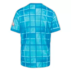 Koszulka Hertha BSC 24/25 Trzecia