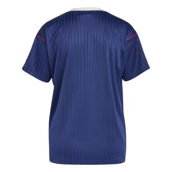 Koszulka Arsenal Adidas Terrace Icon 24/25