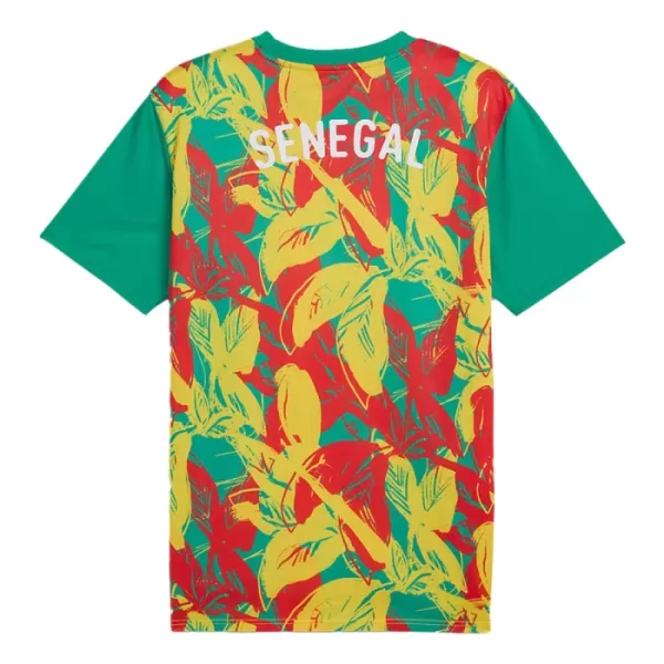 Koszulka Senegal Pre-Match 24/25