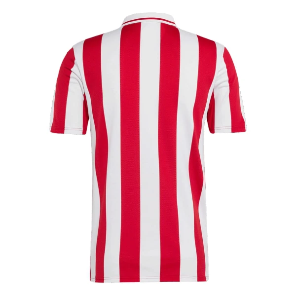 Koszulka Olympiakos 100th Rocznica 24/25