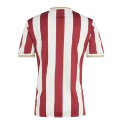 Koszulka FC Nurnberg Rocznica 24/25