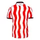 Koszulka Stoke City 25/26 Domowa