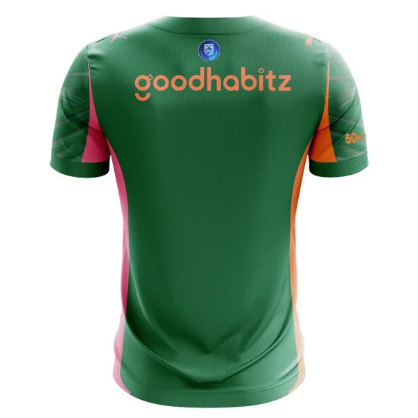 Koszulka Bramkarska PSV Eindhoven 25/26 Zielony