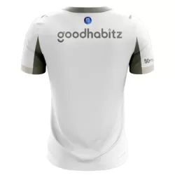 Koszulka PSV Eindhoven 25/26 Trzecia