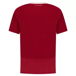 Koszulka Al Ahly 25/26 Domowa