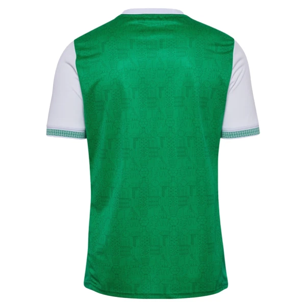 Koszulka AS Saint-Etienne 25/26 Domowa