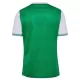 Koszulka AS Saint-Etienne 25/26 Domowa