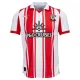 Koszulka Southampton 25/26 Domowa Koszulka Southampton 25/26 Domowa