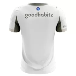 Koszulka PSV Eindhoven 25/26 Trzecia Dziecięca