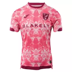 Koszulka Norwich City 25/26 Trzecia Koszulka Norwich City 25/26 Trzecia