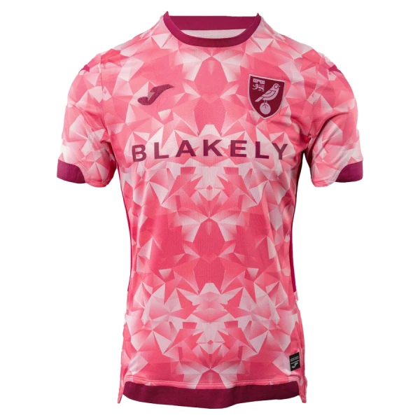 Koszulka Norwich City 25/26 Trzecia