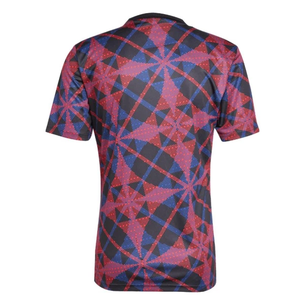 Koszulka Olympique Lyon Pre-Match 25/26