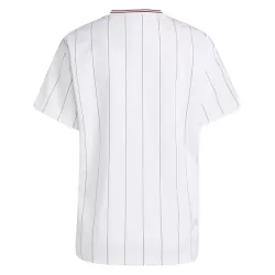 Koszulka Aston Villa Terrace Icons 25/26