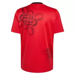 Koszulka Manchester United Chinese Lucky Knot 2026 - Specjalny