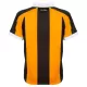 Koszulka Hull City AFC 26/27 Domowa