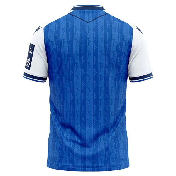 Koszulka TSG 1899 Hoffenheim 26/27 Domowa
